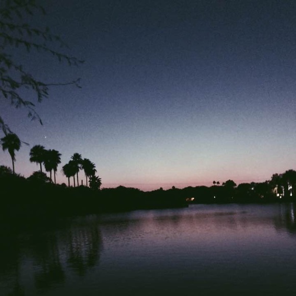 Meet your Posher, Mikey - Picture 1 of 1